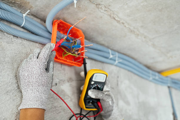 Best Outdoor Lighting Installation  in Wellington, TX